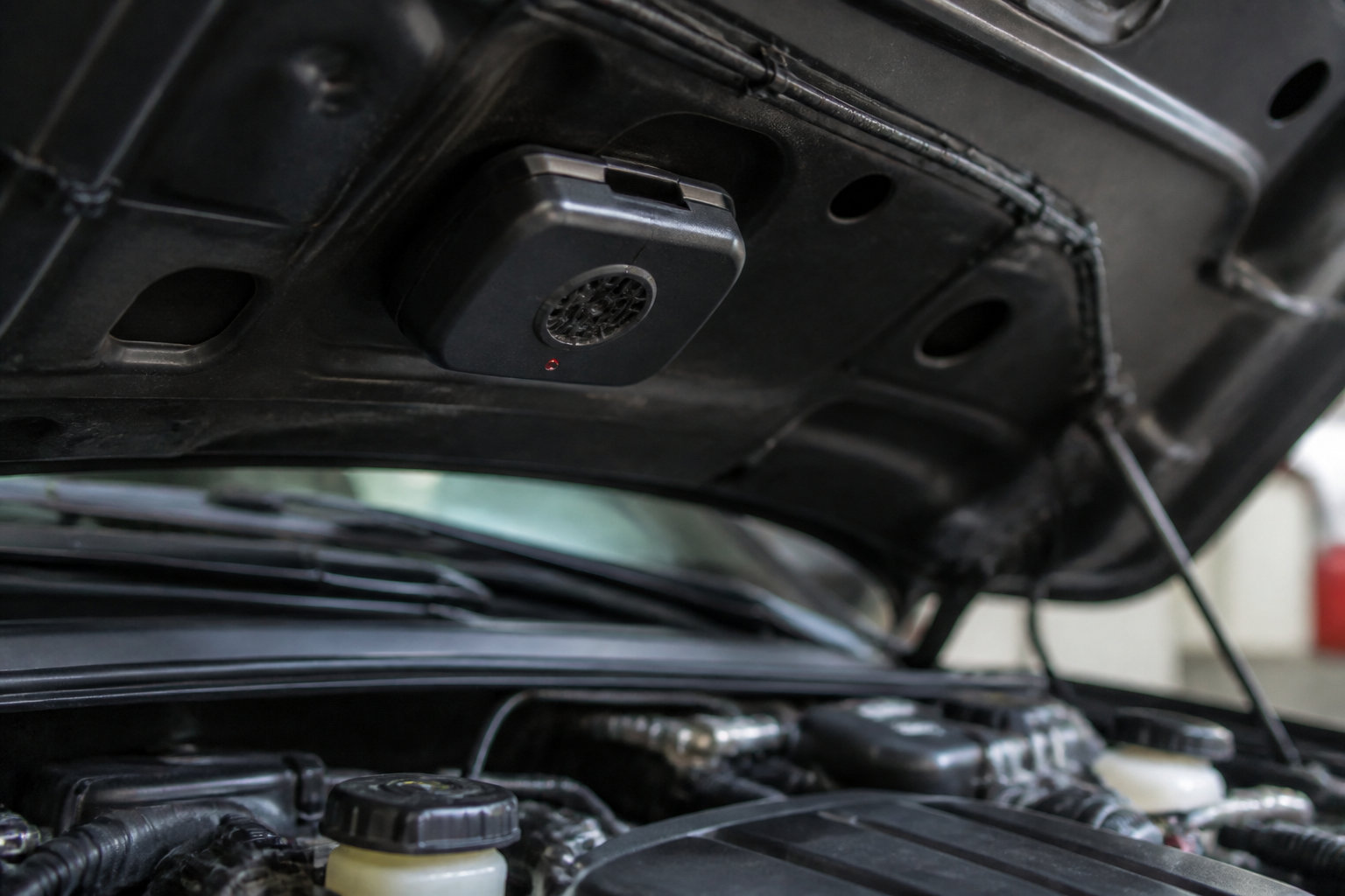 5 astuces concrètes pour éloigner durablement les nuisibles de votre auto